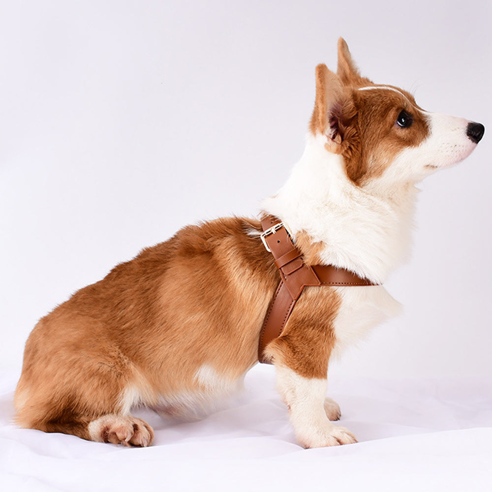 Adjustable and Washable Eco Leather Dog Harnesses petin