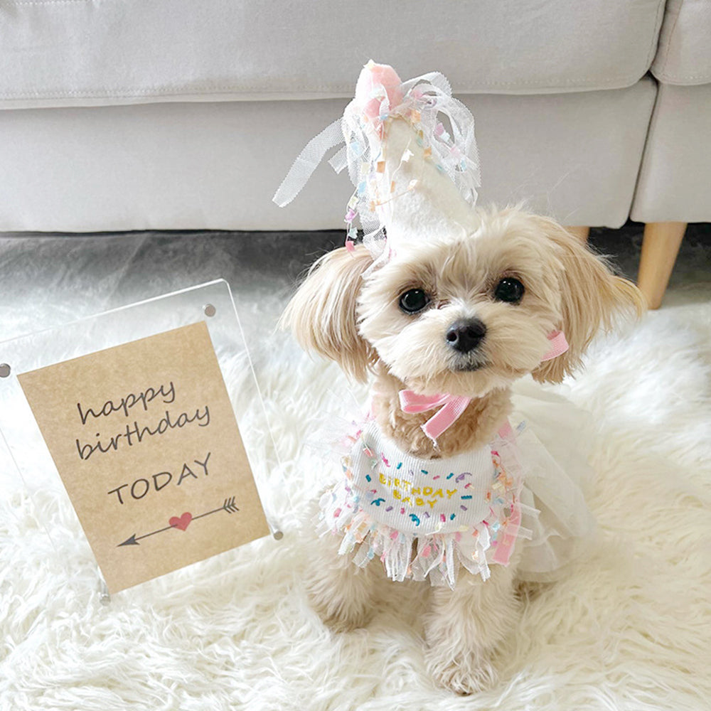 Adorable Pet Birthday Bib petin