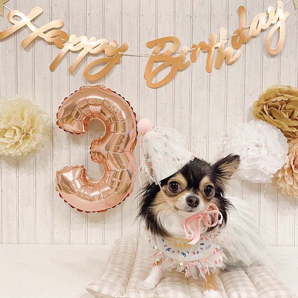 Adorable Pet Birthday Bib petin