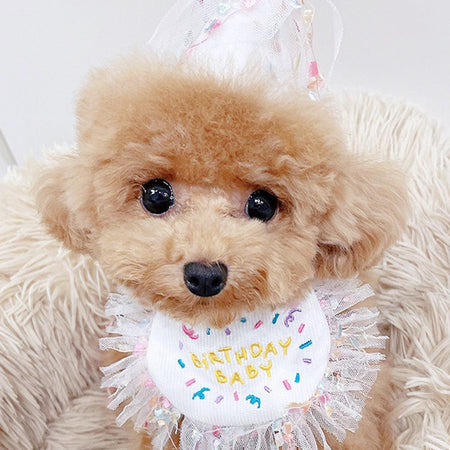 Adorable Pet Birthday Bib petin