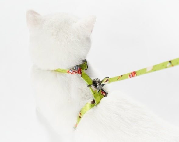 Advanced Color With Easy-to-wear POM Buckle Cat Harness petin