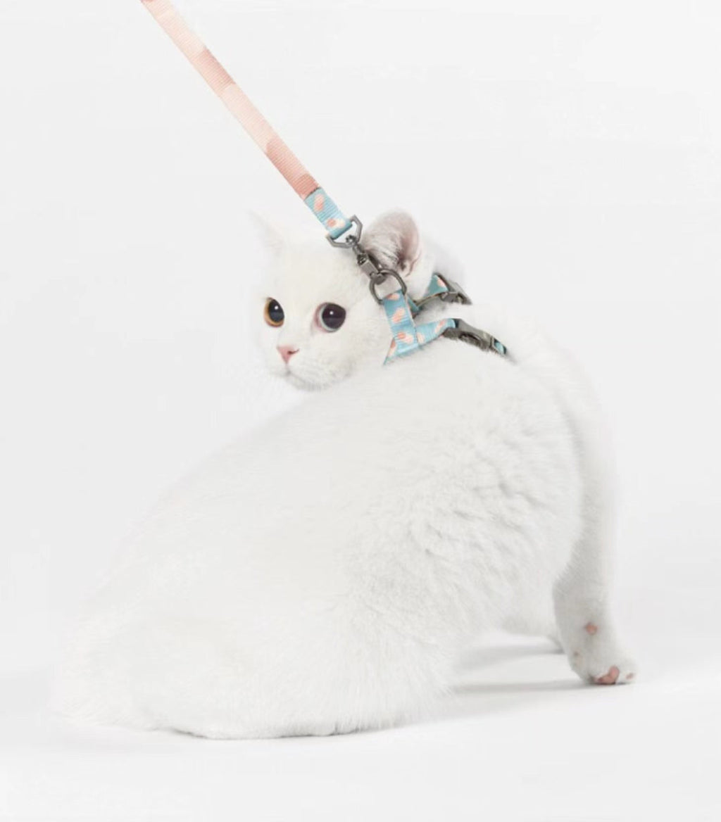 Advanced Color With Easy-to-wear POM Buckle Cat Harness petin