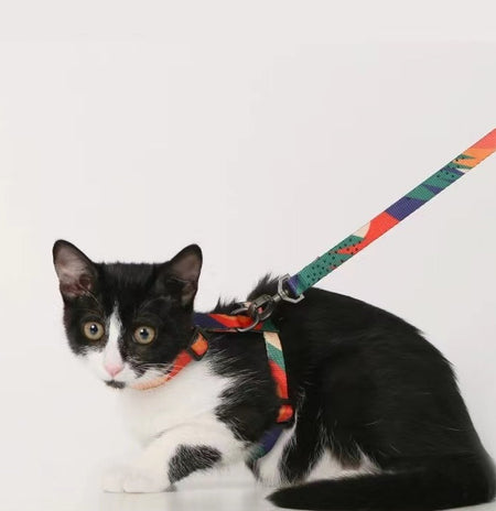 Advanced Color With Easy-to-wear POM Buckle Cat Harness petin