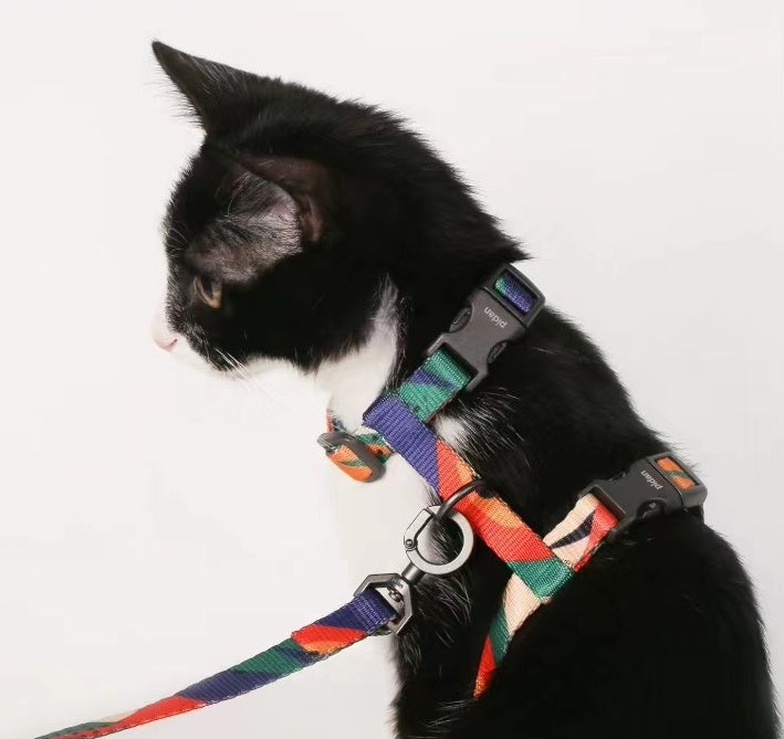 Advanced Color With Easy-to-wear POM Buckle Cat Harness petin