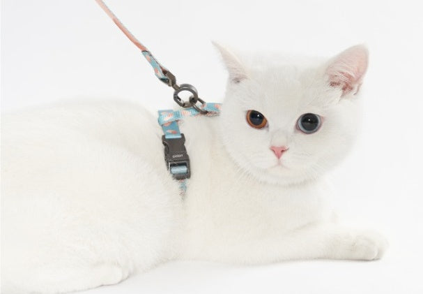 Advanced Color With Easy-to-wear POM Buckle Cat Harness petin