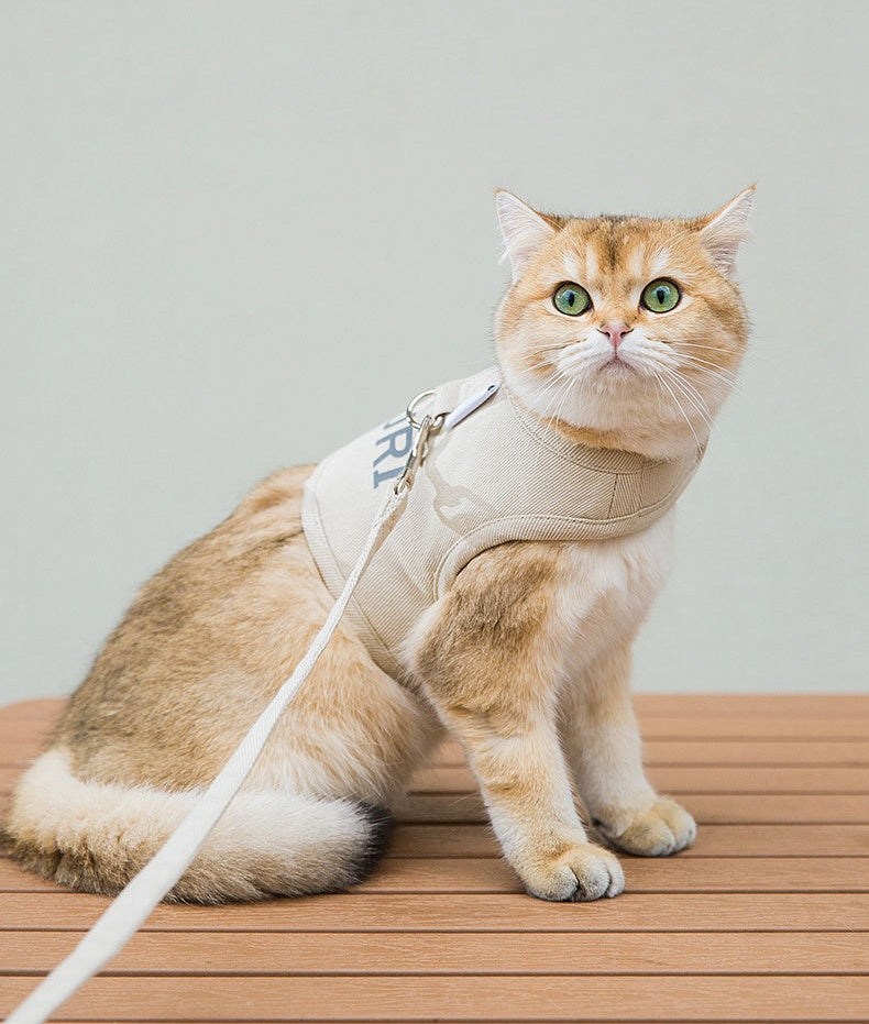 All-match Monochrome Canvas Cat Harness petin