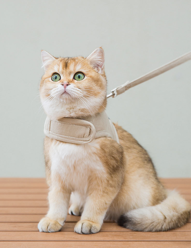 All-match Monochrome Canvas Cat Harness petin