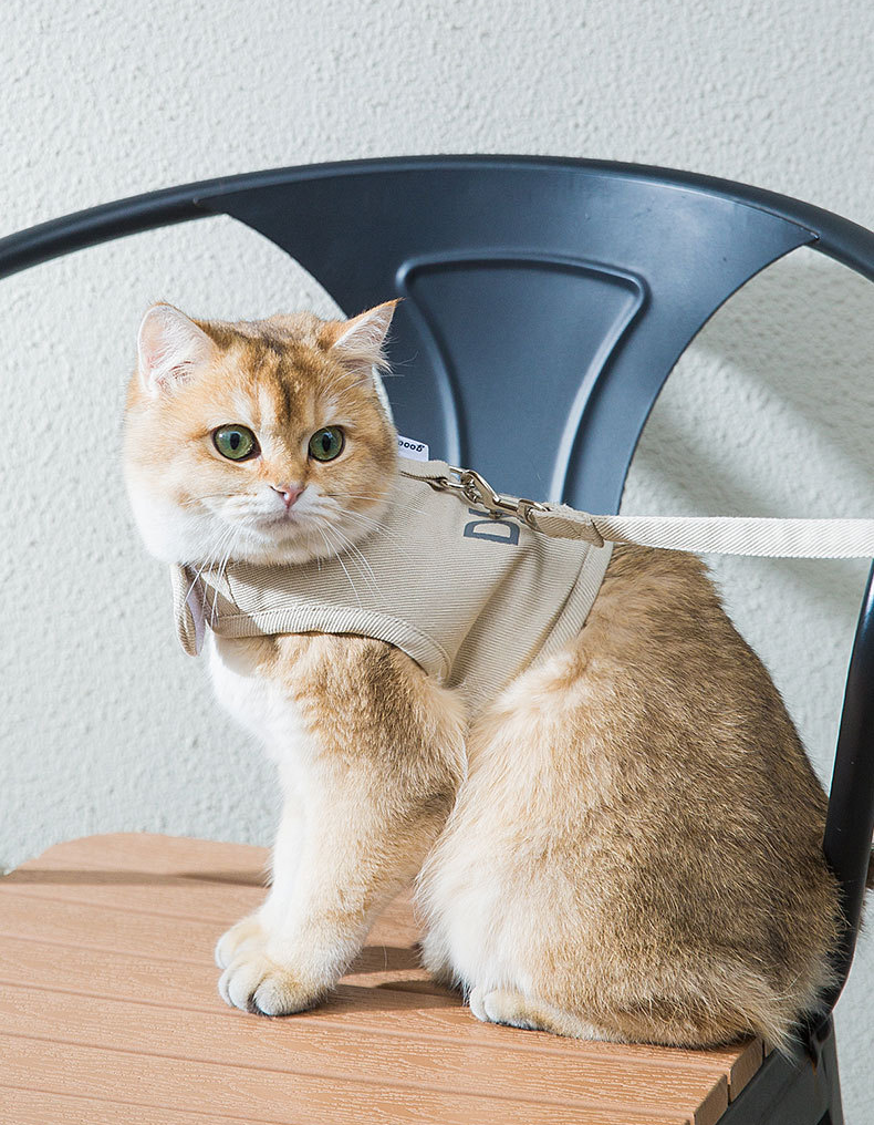 All-match Monochrome Canvas Cat Harness petin