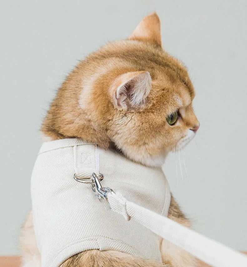 All-match Monochrome Canvas Velcro Cat Harness