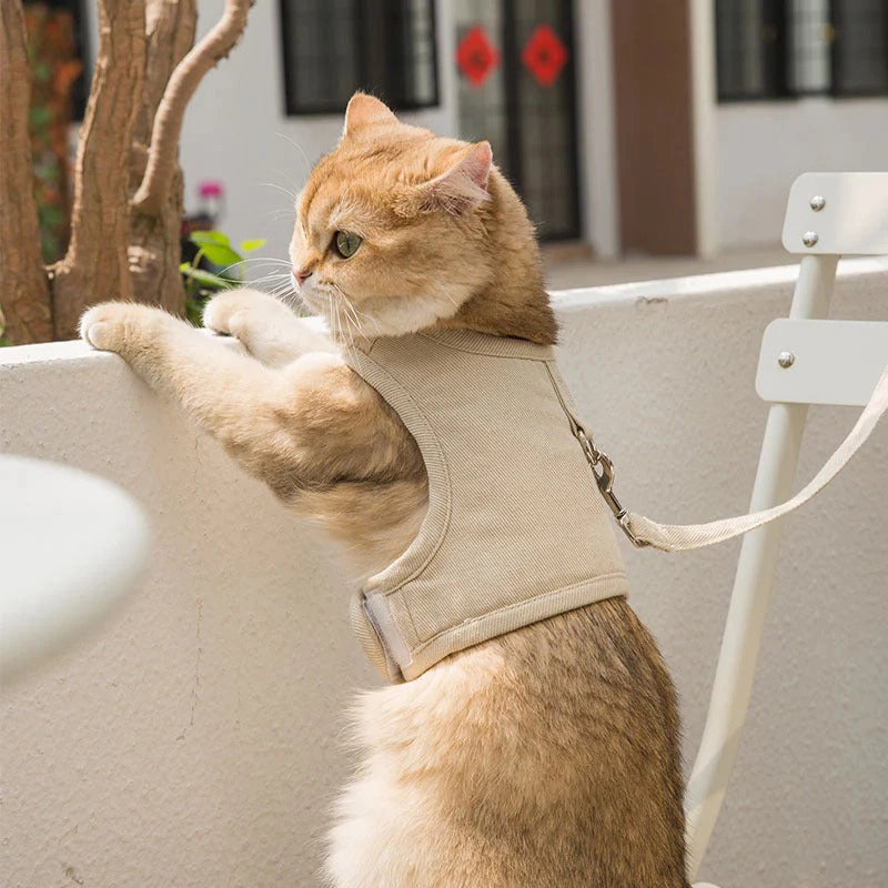 All-match Monochrome Canvas Velcro Cat Harness