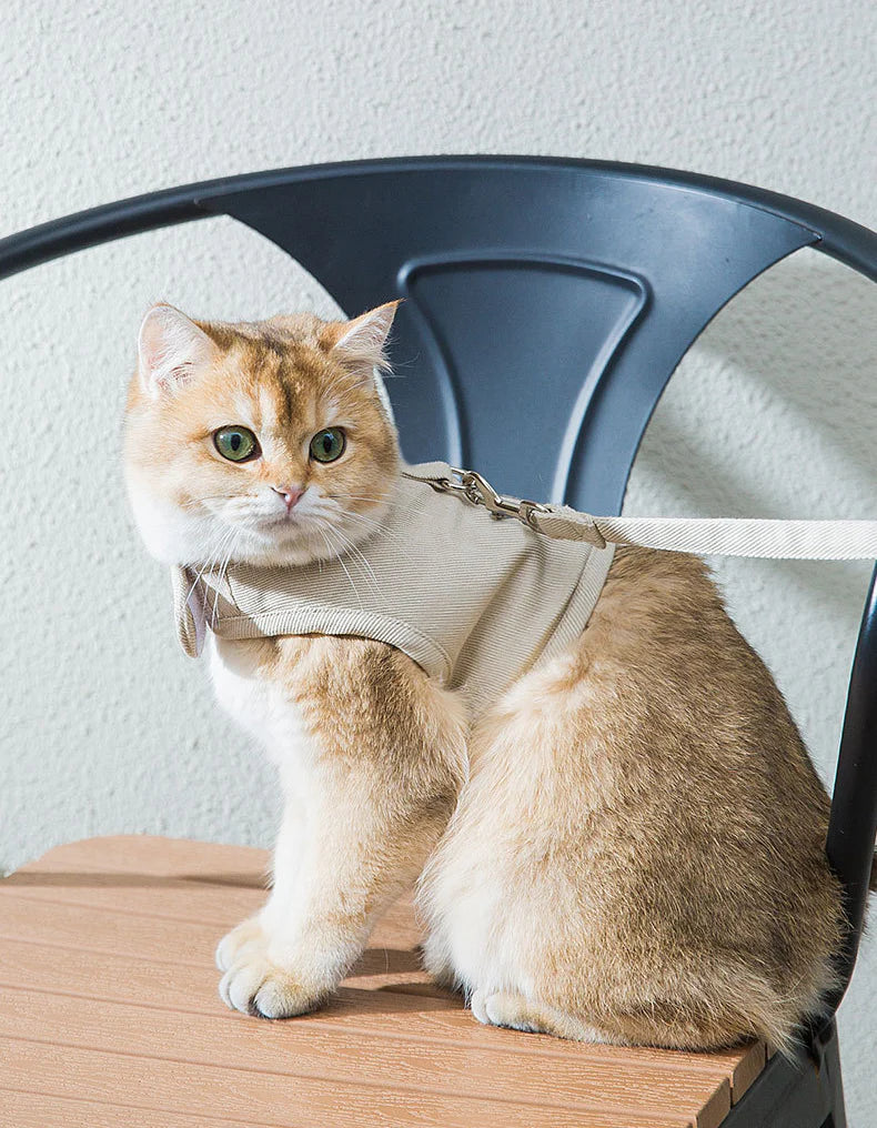 Cat Harness 1