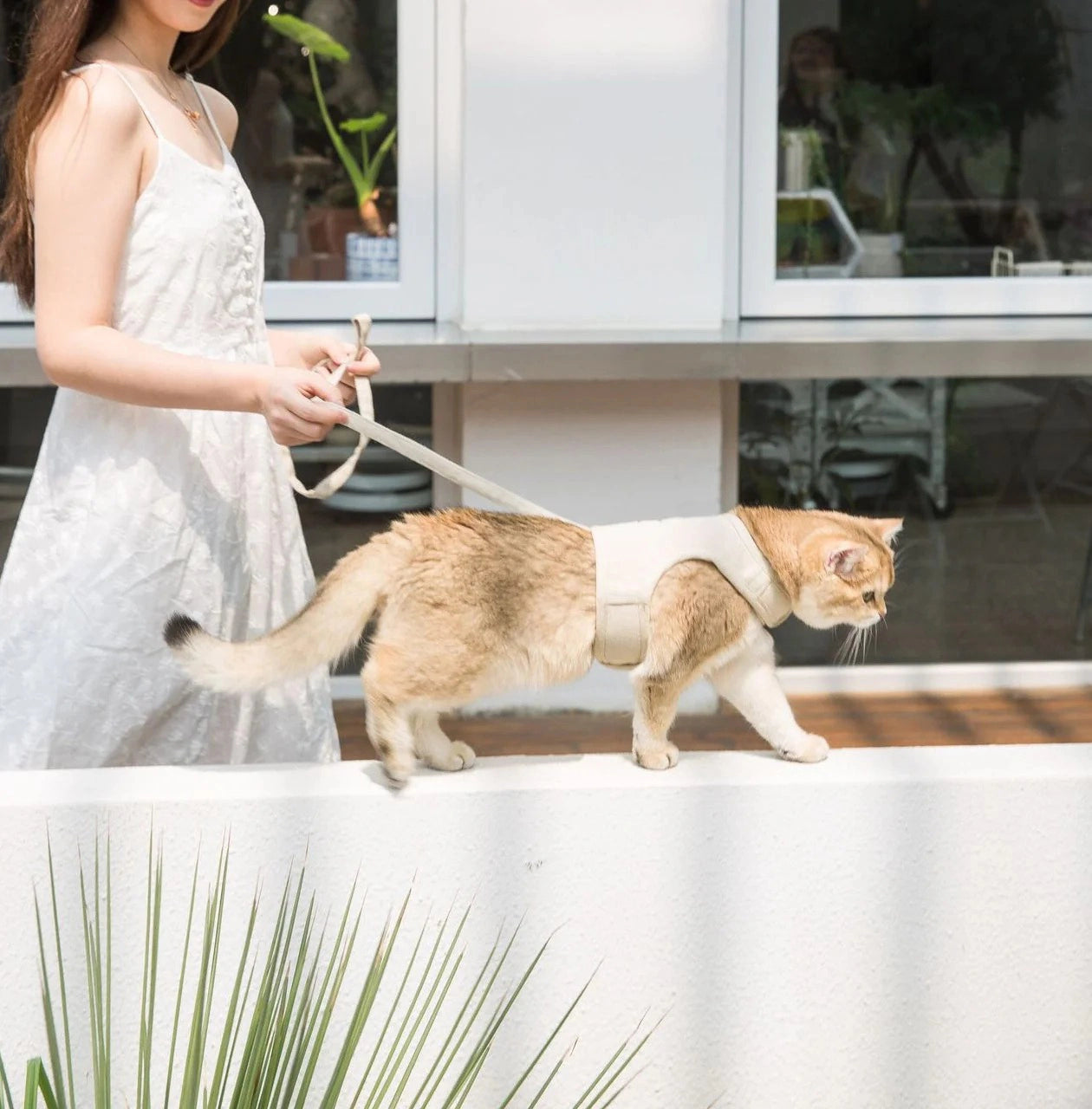 All-match Monochrome Canvas Velcro Cat Harness