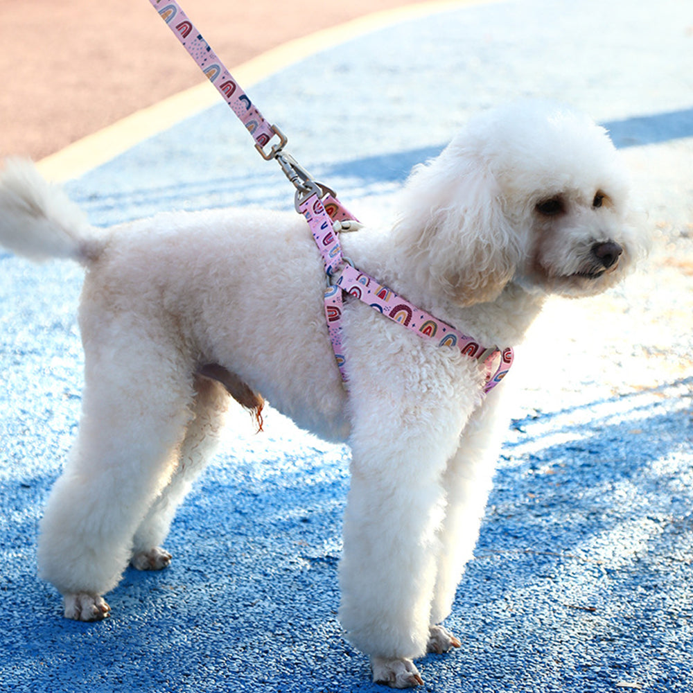 Anti-breakaway Vest Style Dog Harnesses petin