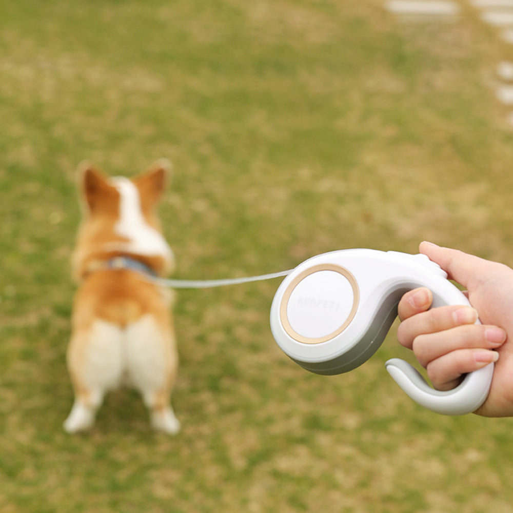 Automatic Retractable Morandi Color Dog Leashes petin