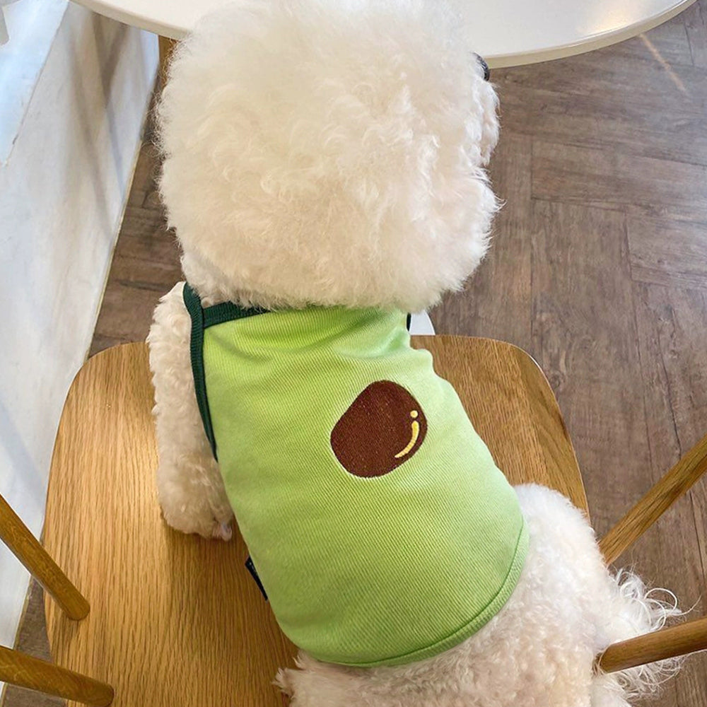 Avocado Dog Sun-Top petin