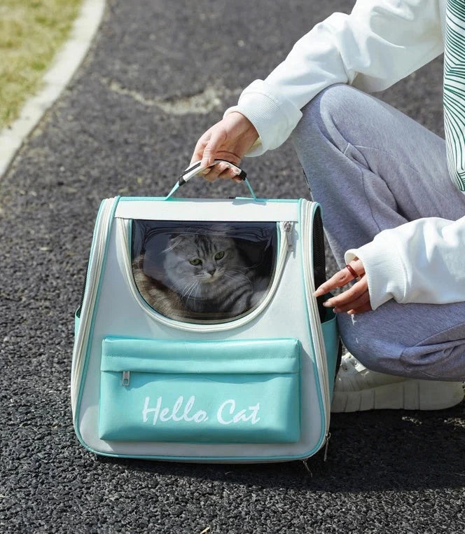 Pet Carrier Backpack 1