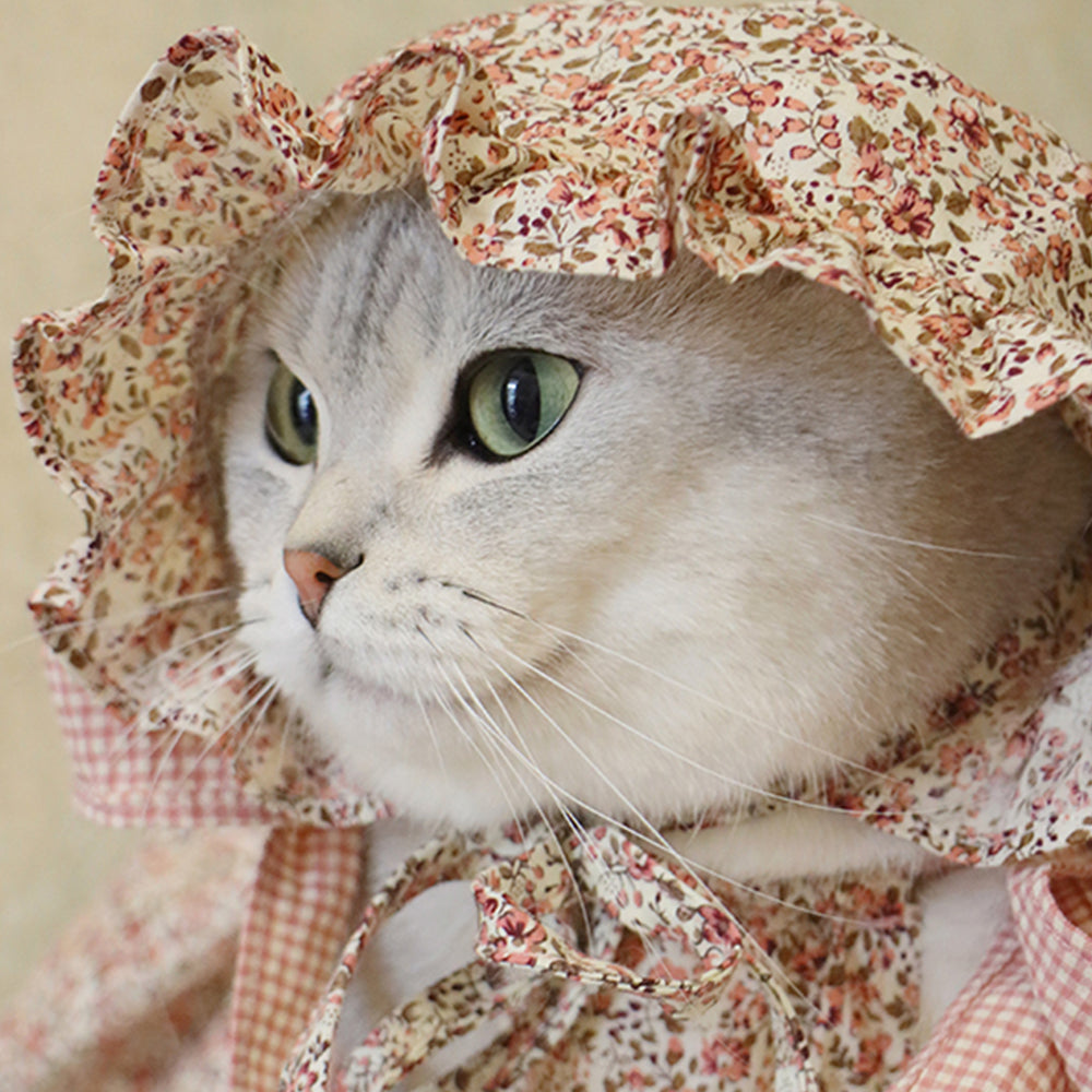Beautiful Cat Floral Dress petin