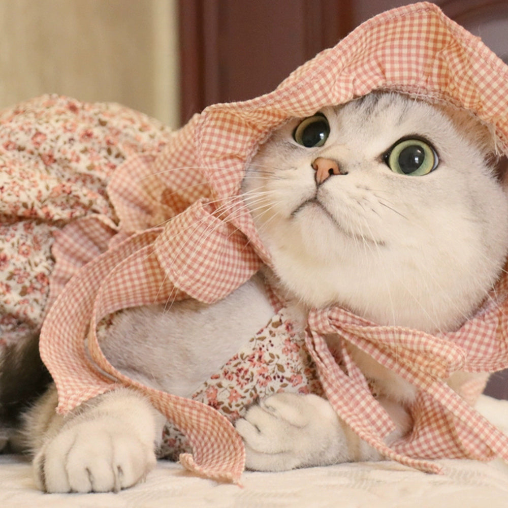 Beautiful Cat Floral Dress petin