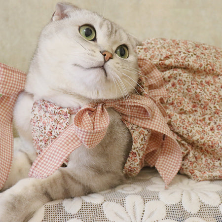 Beautiful Cat Floral Dress petin