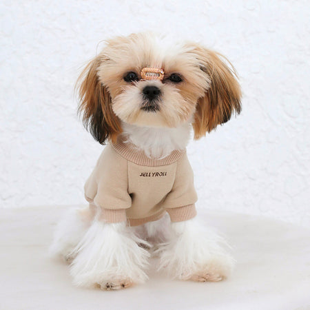 Beige Dog Sweater petin