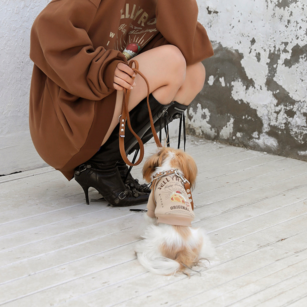 Beige Dog Sweater petin