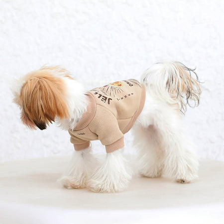 Beige Dog Sweater petin