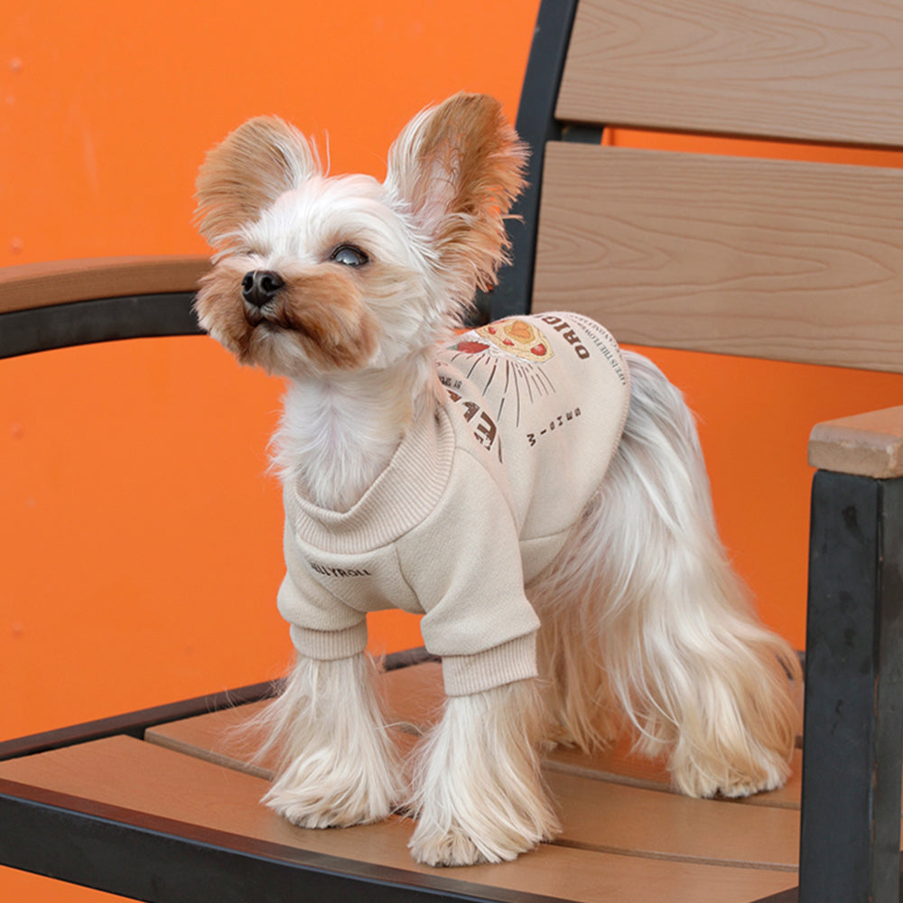 Beige Dog Sweater petin