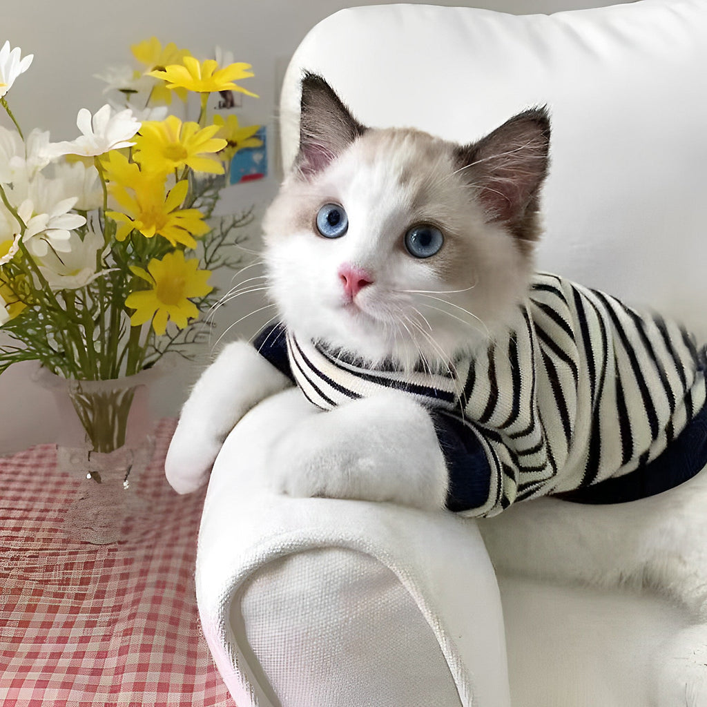 Black and White Striped Cat Hoodie petin