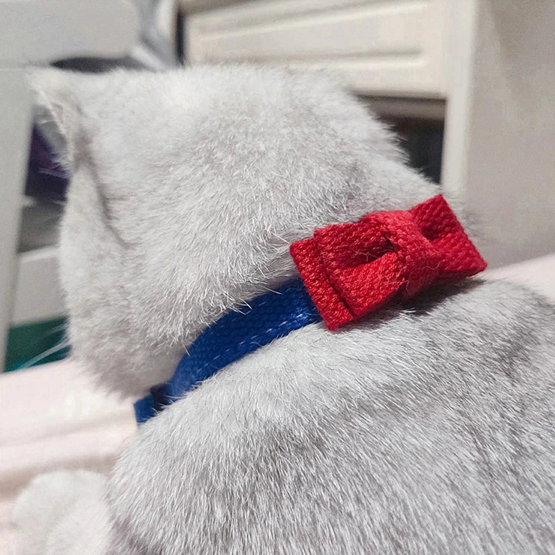 Blue and Red Collision Color Cat Safety Collars 5