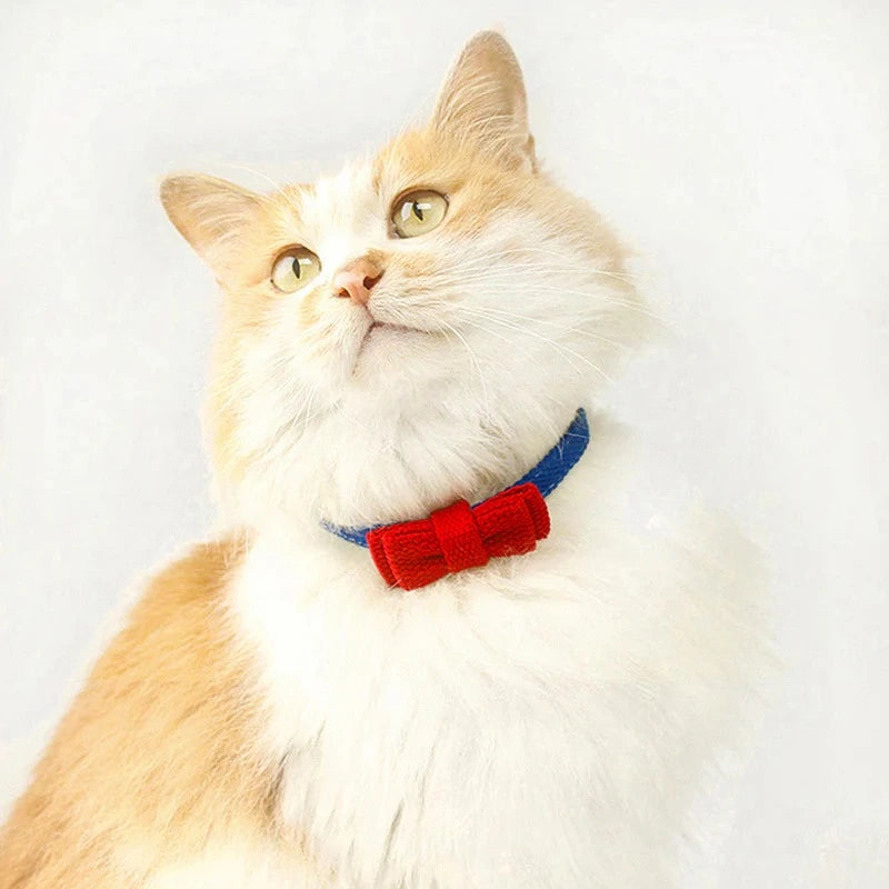 Blue and Red Collision Color Cat Safety Collars 2
