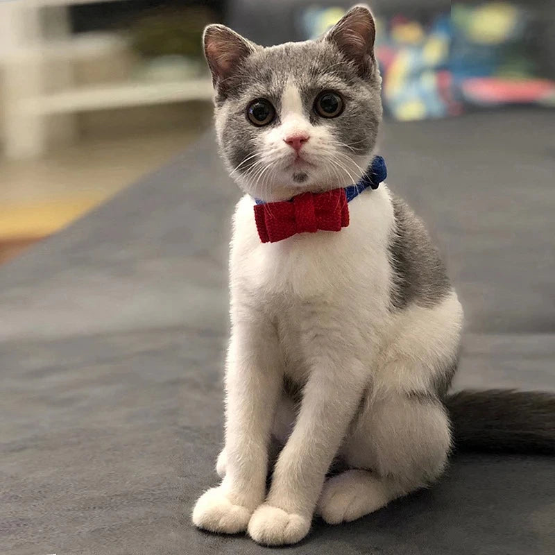 Blue and Red Collision Color Cat Safety Collars