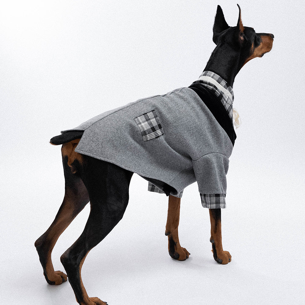 Bow tie Fashion design Dog Suit petin