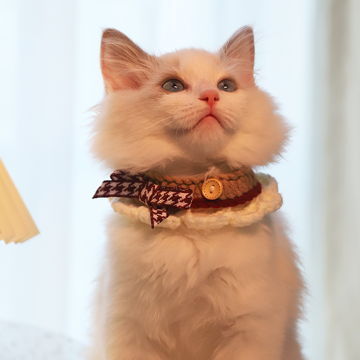 Bowknot Handmade Cat Knitted Collar petin