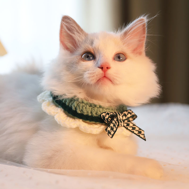 Bowknot Handmade Cat Knitted Collar petin