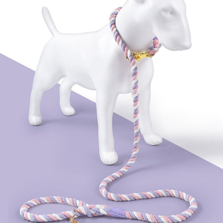 Breathable Hand-woven Eco-friendly Material Dog Leashes petin