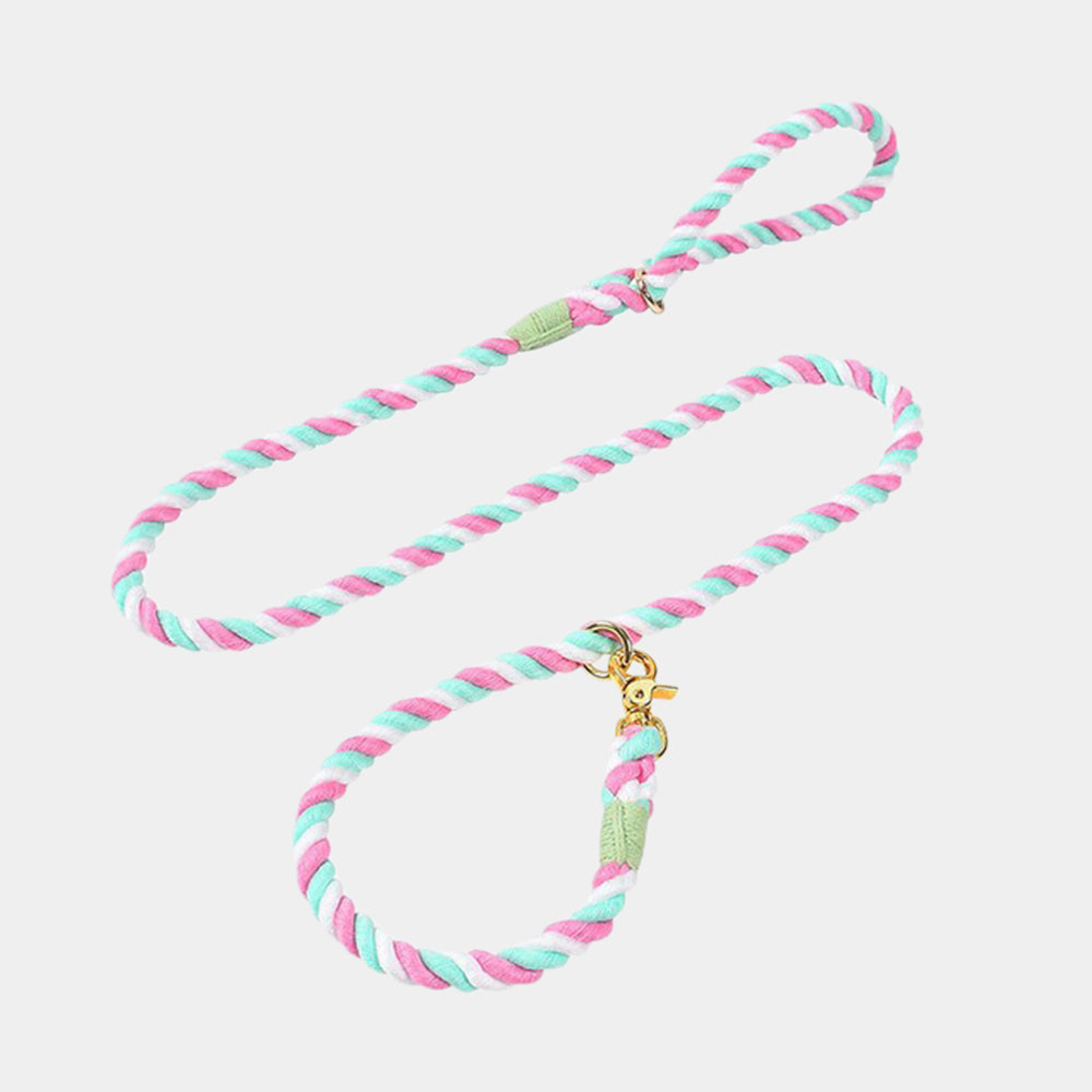 Breathable Hand-woven Eco-friendly Material Dog Leashes petin