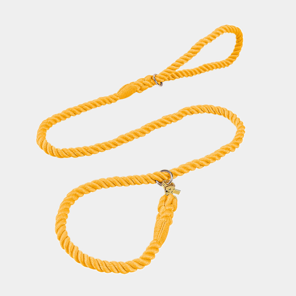 Breathable Hand-woven Eco-friendly Material Dog Leashes petin