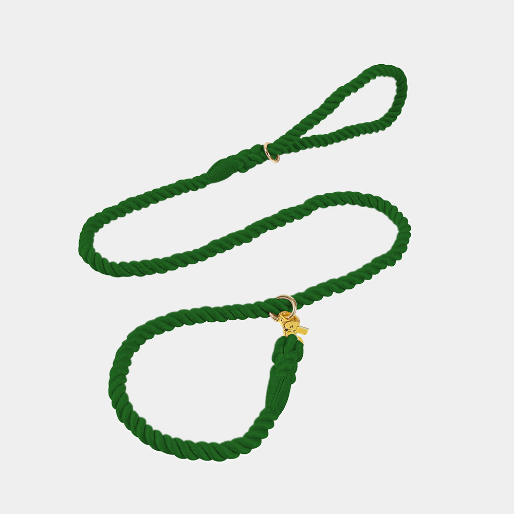 Breathable Hand-woven Eco-friendly Material Dog Leashes petin