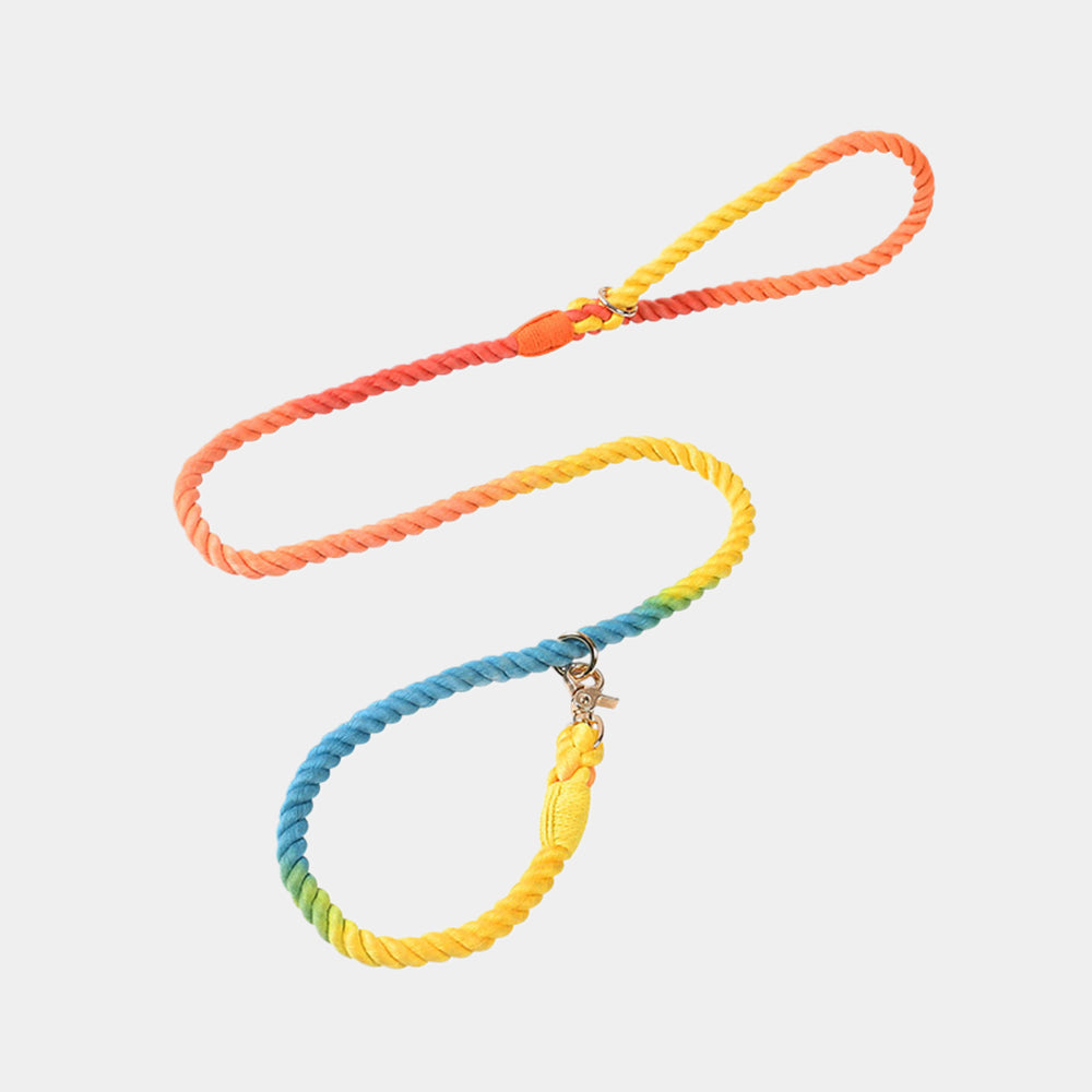 Breathable Hand-woven Eco-friendly Material Dog Leashes petin