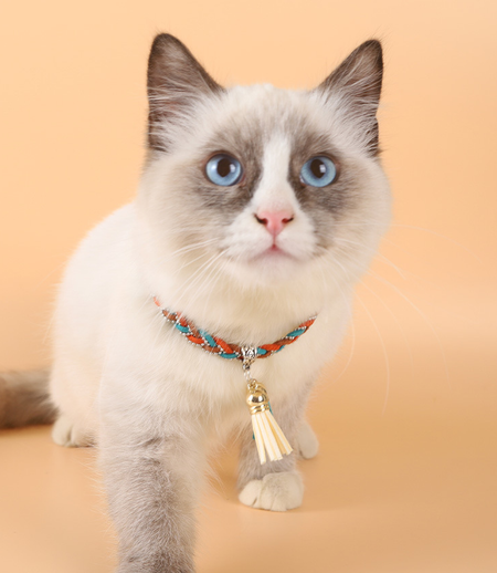 Bright Silk Adjustable Cat Collar petin