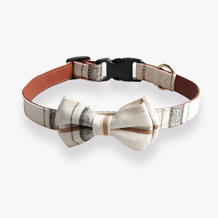 British Style Plastic Buckle Dog Collar petin