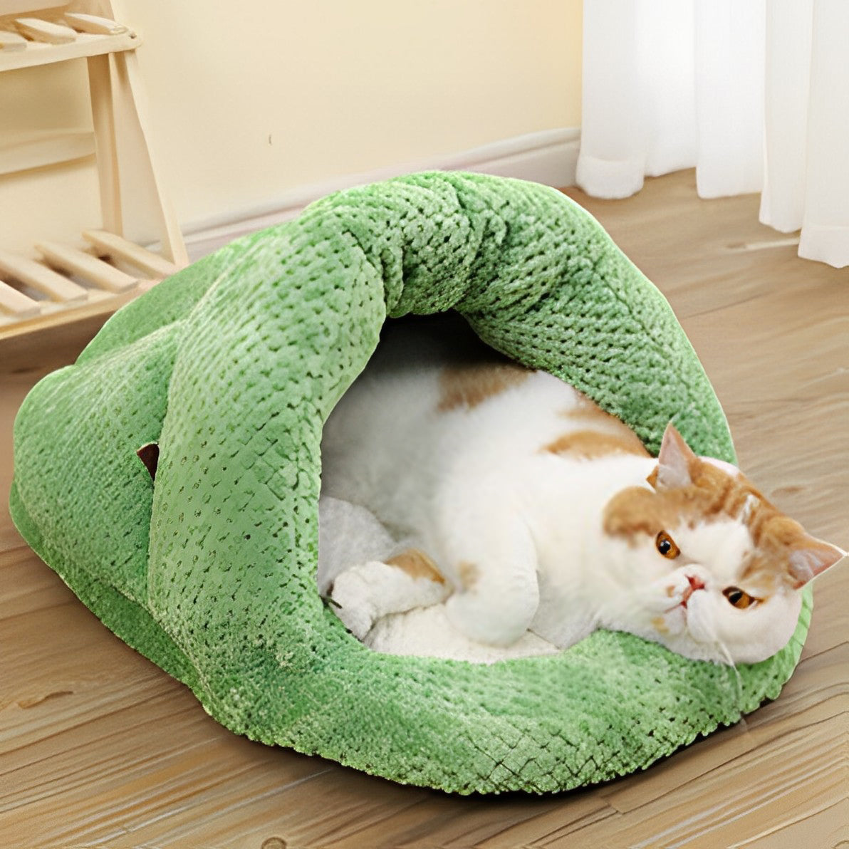 Cactus Creative Cat Bed petin