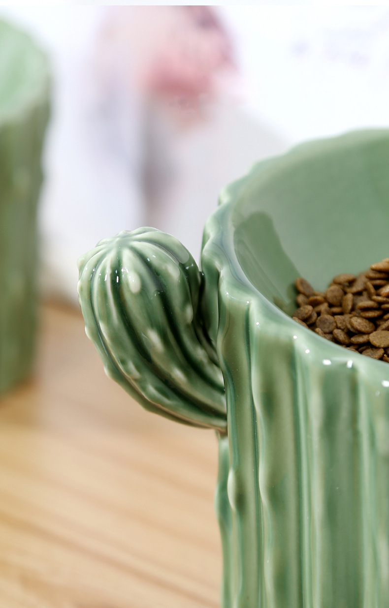 Cactus Neck-Care Pet Food Bowl petin