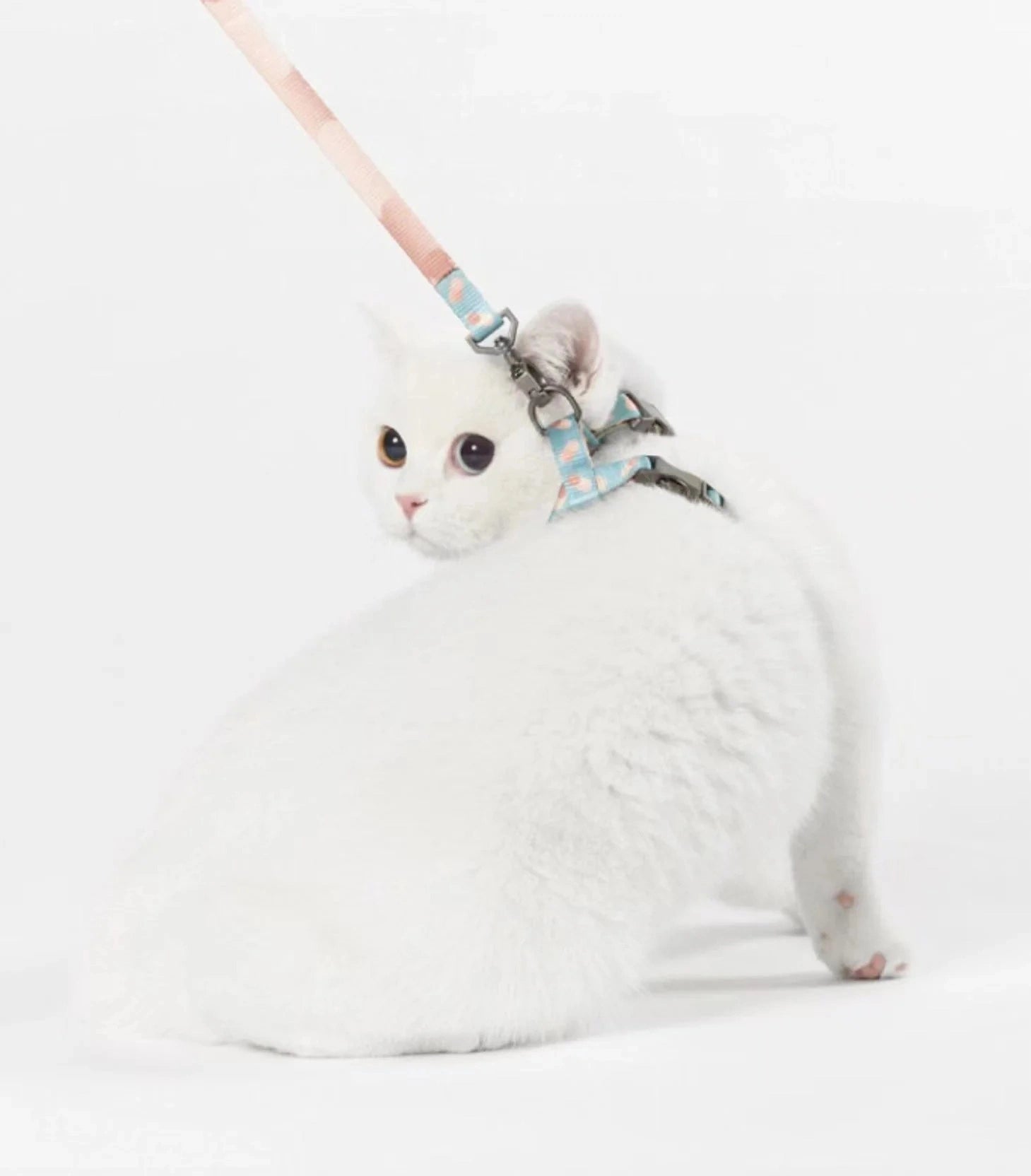 cat harness lovepetin