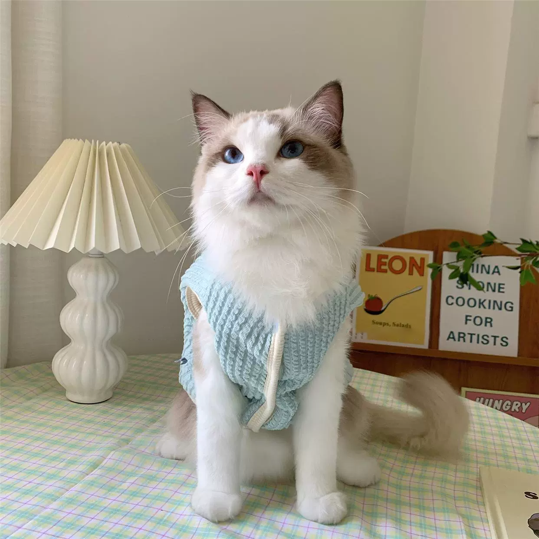Candy Color Warm Cat Vest petin