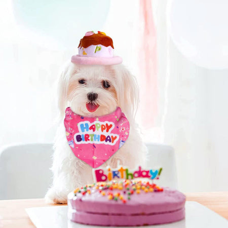 Candy Colored Pet Birthday Dress Up Set petin