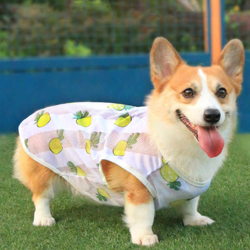 Cartoon Print Breathable Dog T-shirt petin