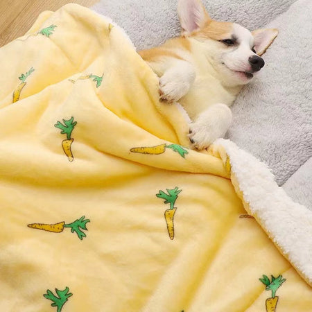 Cartoon Thickened Pet Blanket petin