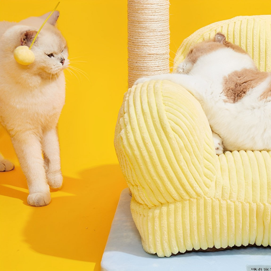 Cat bed with Scratching Post petin