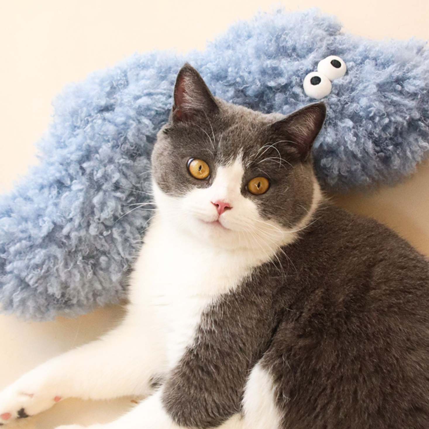 Caterpillar Sleeping Pillow petin